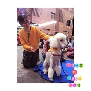 Meet your Posher, Nancy